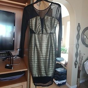 Charlotte Russe long sleeve mesh dress